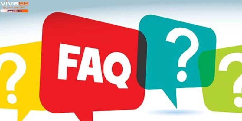 Câu hỏi về VIVA88 - số lượng thành viên đăng ký trên hệ thống